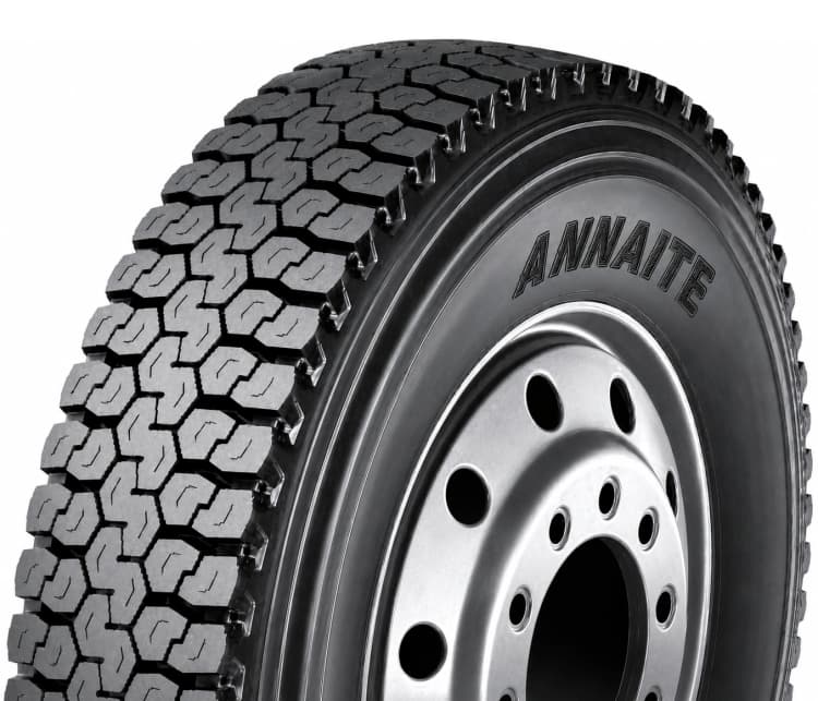 ANNAITE 302